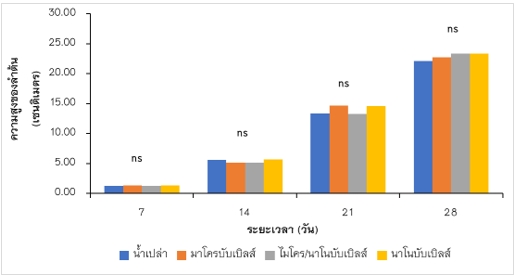 รูปที่ 1 ผลของการใช้น้ำเปล่า น้ำมาโครบับเบิลส์ น้ำไมโคร/นาโนบับเบิลส์ และน้ำนาโนบับเบิลส์ต่อการเจริญเติบโตด้านความสูงของลำต้น