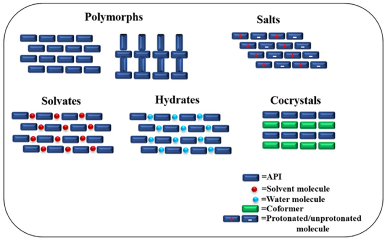 Different Solid Forms of Active Pharmaceutical Ingredients 