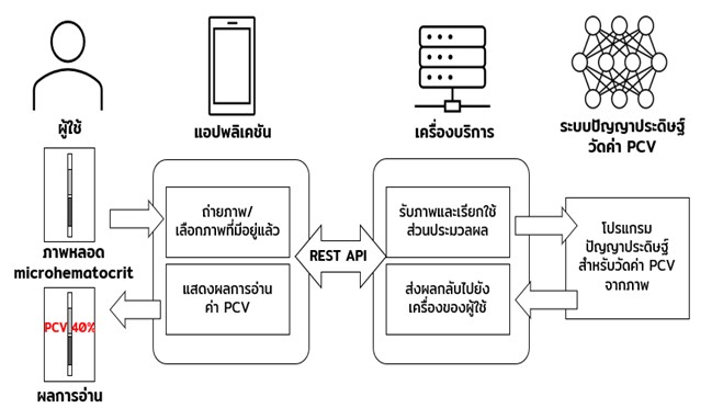 แสดงภาพรวมการทำงานของโปรแกรมประยุกต์ (แอปพลิเคชัน) บนอุปกรณ์เคลื่อนที่ สำหรับการวัดค่าค่าฮีมาโตคริต
