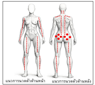 แสดงแนวการนวดตัวและกดจุดในมารดา               ภาพที่ 2 แสดงแนวเส้นนวดเต้านม เรียงลำดับการนวด หลังคลอด ลำดับขั้นตอนการนวดไม่มีรูปแบบตายตัว            ตามแนวเส้นหมายเลข 1-2-3 นานประมาณ 20 นาที นานประมาณ 1 ชั่วโมง