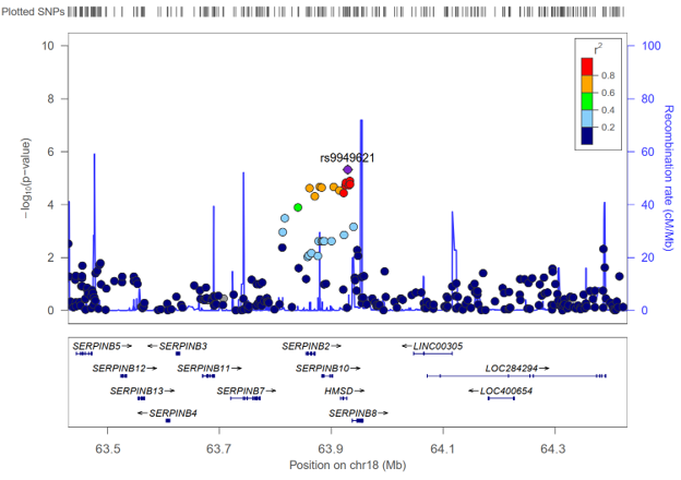 Regional association plot of the chromosome 18 locus. LocusZoom plot [13] illustrating the local linkage disequilibrium (LD) structure surrounding the lead SNP, rs9949621 (P-value of 4.75×10-6). The associated genomic region (chr18:63,893,977–63,966,335) features a cluster of variants spanning from rs9320032 to rs17072304 that exceed the suggestive statistical significance threshold (P-value < 5.0×10-5)