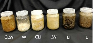Figure 8 pH changes over 30 days in six pretreatment groups: CLW (sterilized sugarcane leaves + spent mushroom substrate, 1:1), W (spent mushroom substrate), CLI (sterilized sugarcane leaves + pure mushroom inoculum), LW (sugarcane leaves + spent mushroom substrate, 1:1), LI (sugarcane leaves + pure mushroom inoculum), and L (sugarcane leaves).