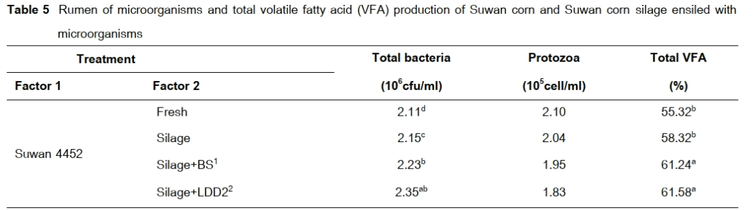 Rumen of microorganisms and total volatile fatty acid (VFA) production of Suwan corn and Suwan corn silage ensiled with microorganisms