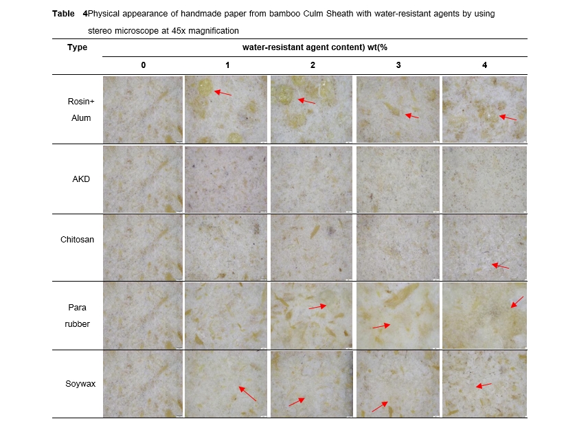 Physical appearance of handmade paper from bamboo Culm Sheath with water-resistant agents by using stereo microscope at 45x magnification