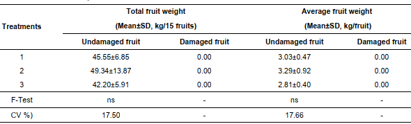 Effect of combination between insecticides and different materials of fruit bagging for the management