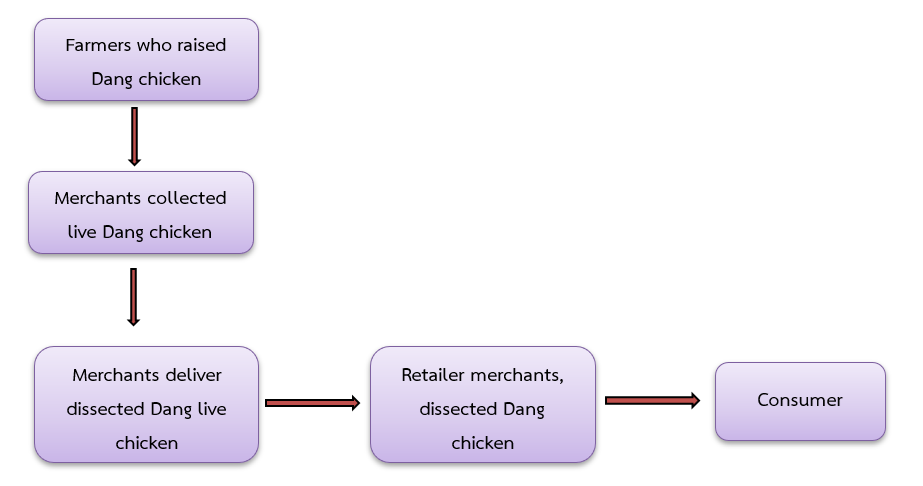 Figure 4  Dang chicken supply chain in the upper southern provinces Model 4