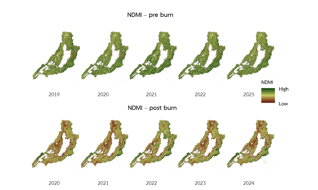 Figure 2   NDMI maps before and after wildfires in Phrae National Reserved Forests between 2019–2024