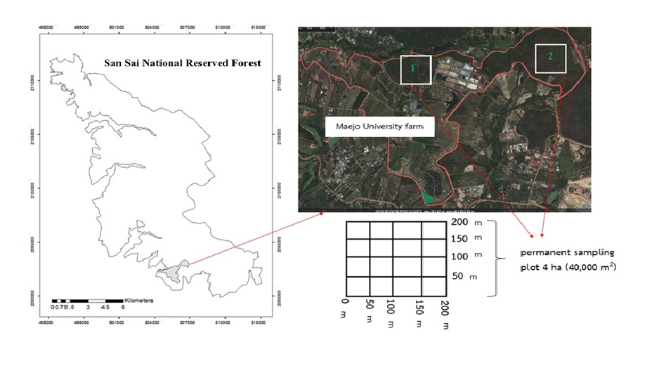 Figure  1  The study area at Maejo University farm and the 4-ha permanent sampling plots